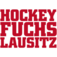 (c) Hockeyfuchs-lausitz.shop